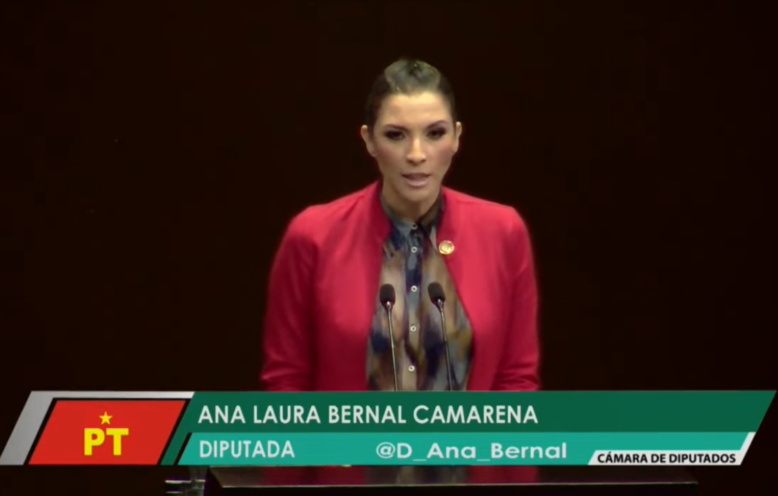 Diputada Del Pt Ana Laura Bernal Propone Que El Sistema Braille Sea