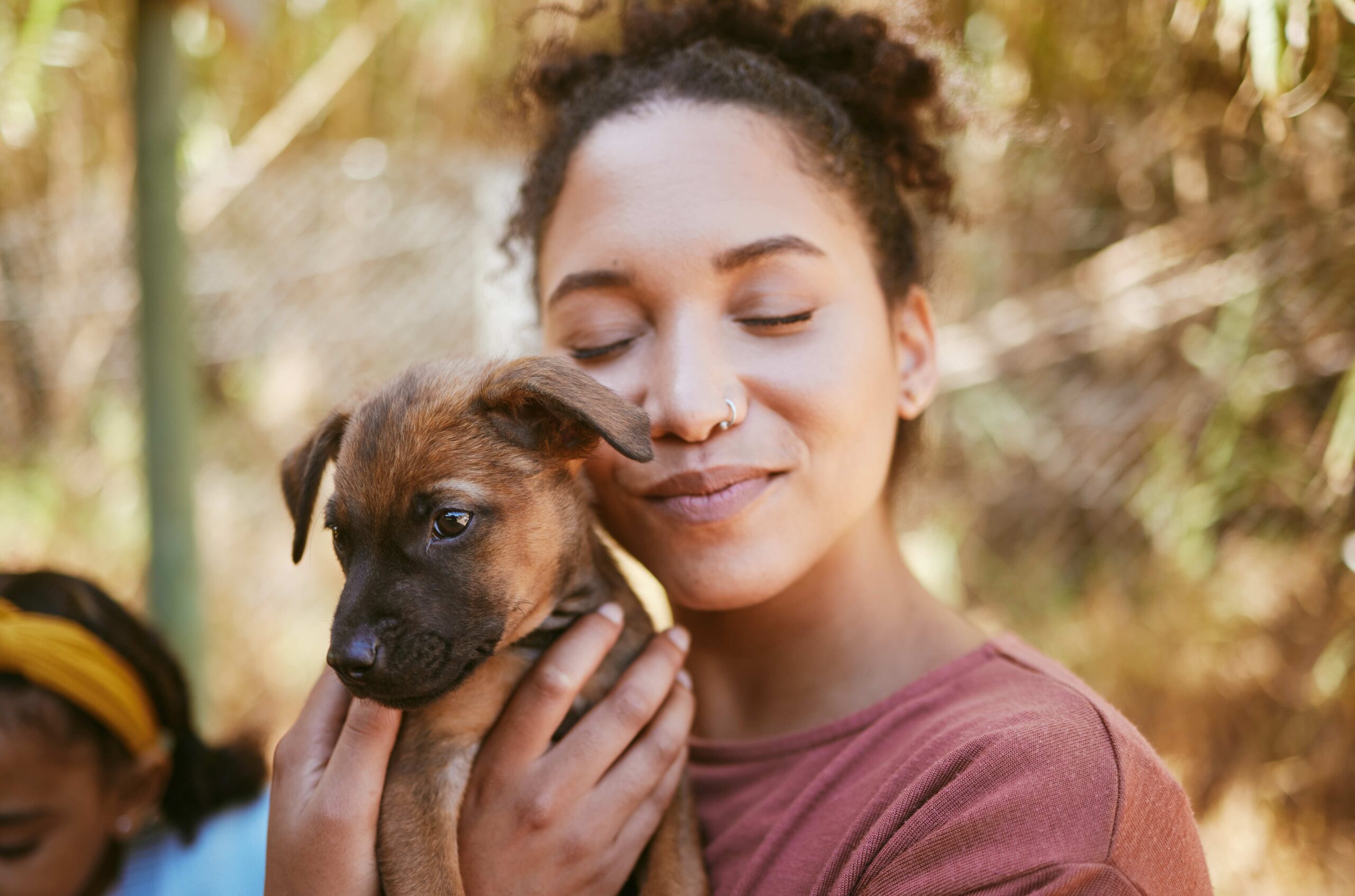 Índice de las Mascotas Sin Hogar estima que 362 millones de perros y